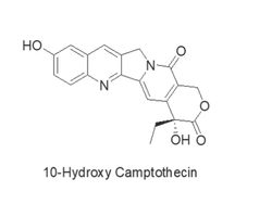 10-Hydroxycamptothecin