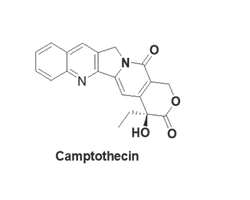 Camptothecin