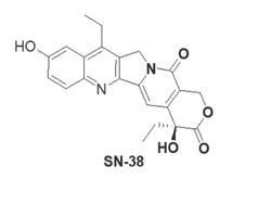 SN-38