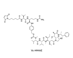 Vc-MMAE